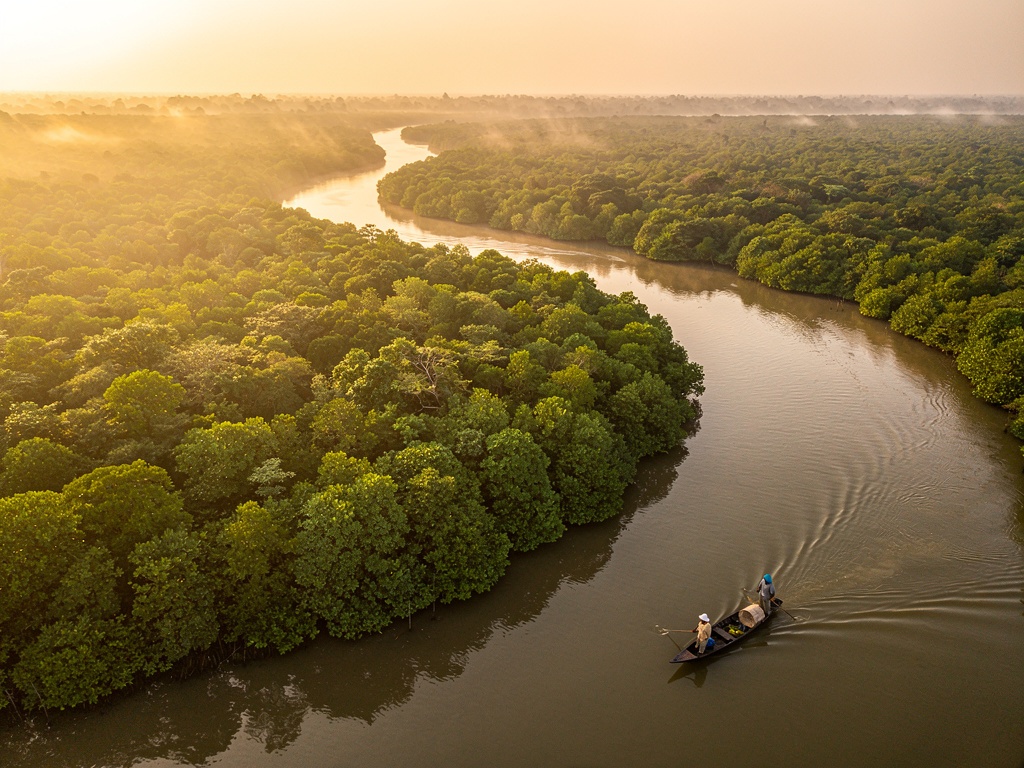Aerial view of Sundarbans mangroves with a honey collector's boat